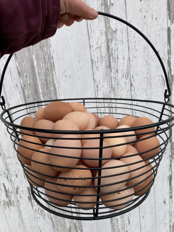 farm fresh eggs