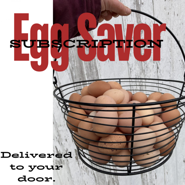 Egg Saver